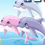 Dolphin Care