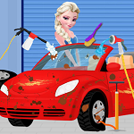 Elsa Beetle Cleaning